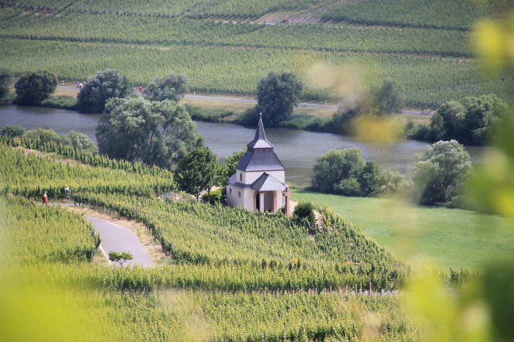 Wein & Gaestehaus Hermeshof Trittenheim Exterior photo