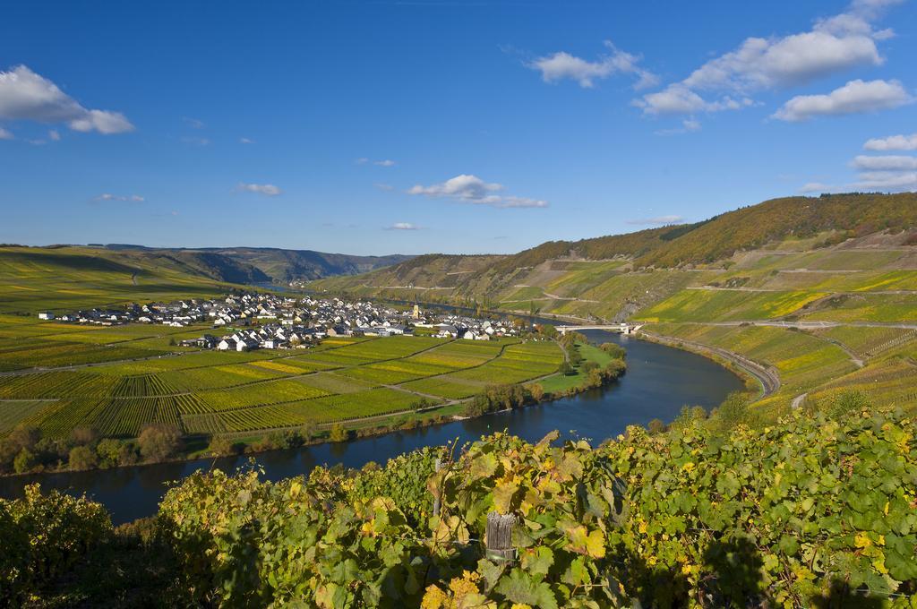 Wein & Gaestehaus Hermeshof Trittenheim Exterior photo