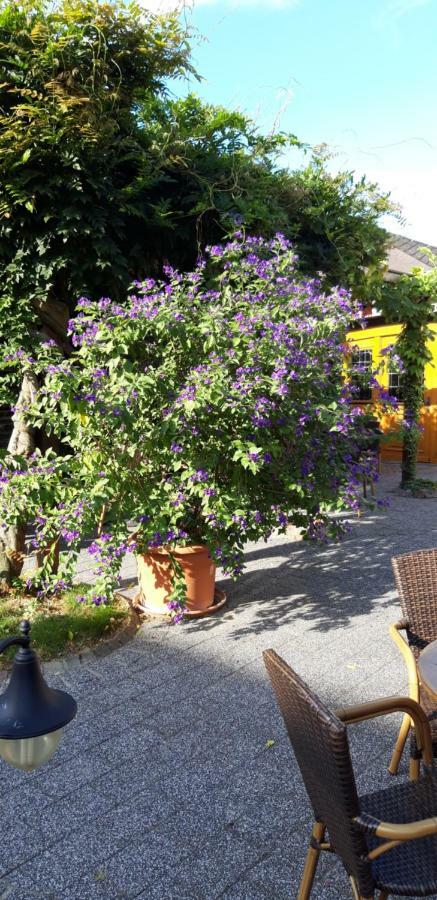 Wein & Gaestehaus Hermeshof Trittenheim Exterior photo